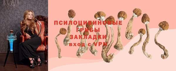 MDMA Аркадак