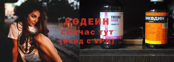 эйфоретик Арсеньев