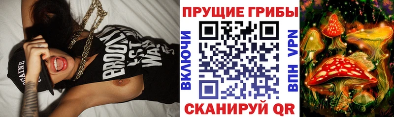 Галлюциногенные грибы ЛСД  МЕГА зеркало  Абакан 